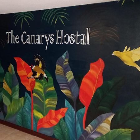 The Canarys Hostal 산타 로사 데 카발 외부 사진